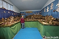 VBS_6927 - Presepe Meccanico di Nonna Rosi 2025